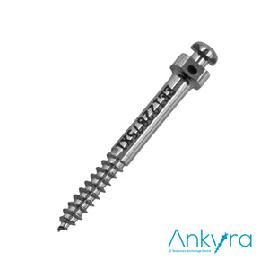 ANKYRA MICROTORNILLO ACERO