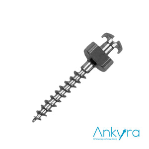 ANKYRA MICROTORNILLO ACERO