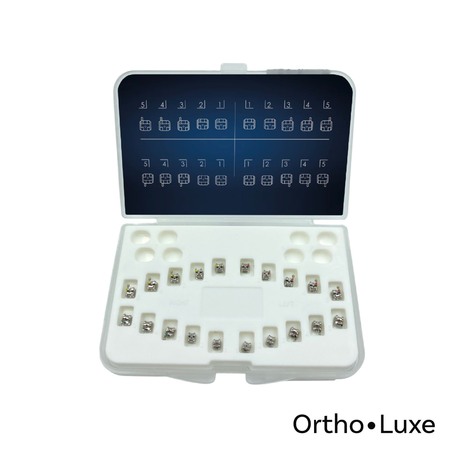 ORTHO-LUXE AUTOLIGADO ACTIVO SLOT 0.22